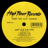 Just Like the Wind (Radio Mix) artwork