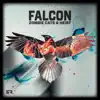 Stream & download Falcon - Single