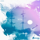 Marine (Caira Remix) artwork