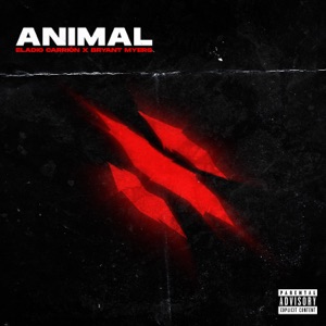 Animal - Single
