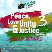 Peace, Love, Unity & Justice 3 (World Affairs) artwork