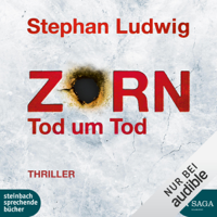 Stephan Ludwig - Tod um Tod: Zorn 9 artwork