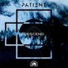 Descend // Stillness in Madness - Single