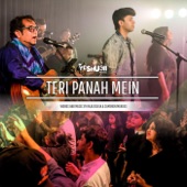 Teri Panah Mein (feat. Raju D'silva) artwork