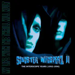 Sinister Whisperz 2 (The Interscope Years) [Sinister Mix] - My Life With The Thrill Kill Kult