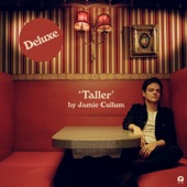 Jamie Cullum - Taller