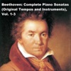 Adrian Gagiu - Piano Sonata in D Major, WoO 47 No. 3: 2. Menuetto (Sostenuto)