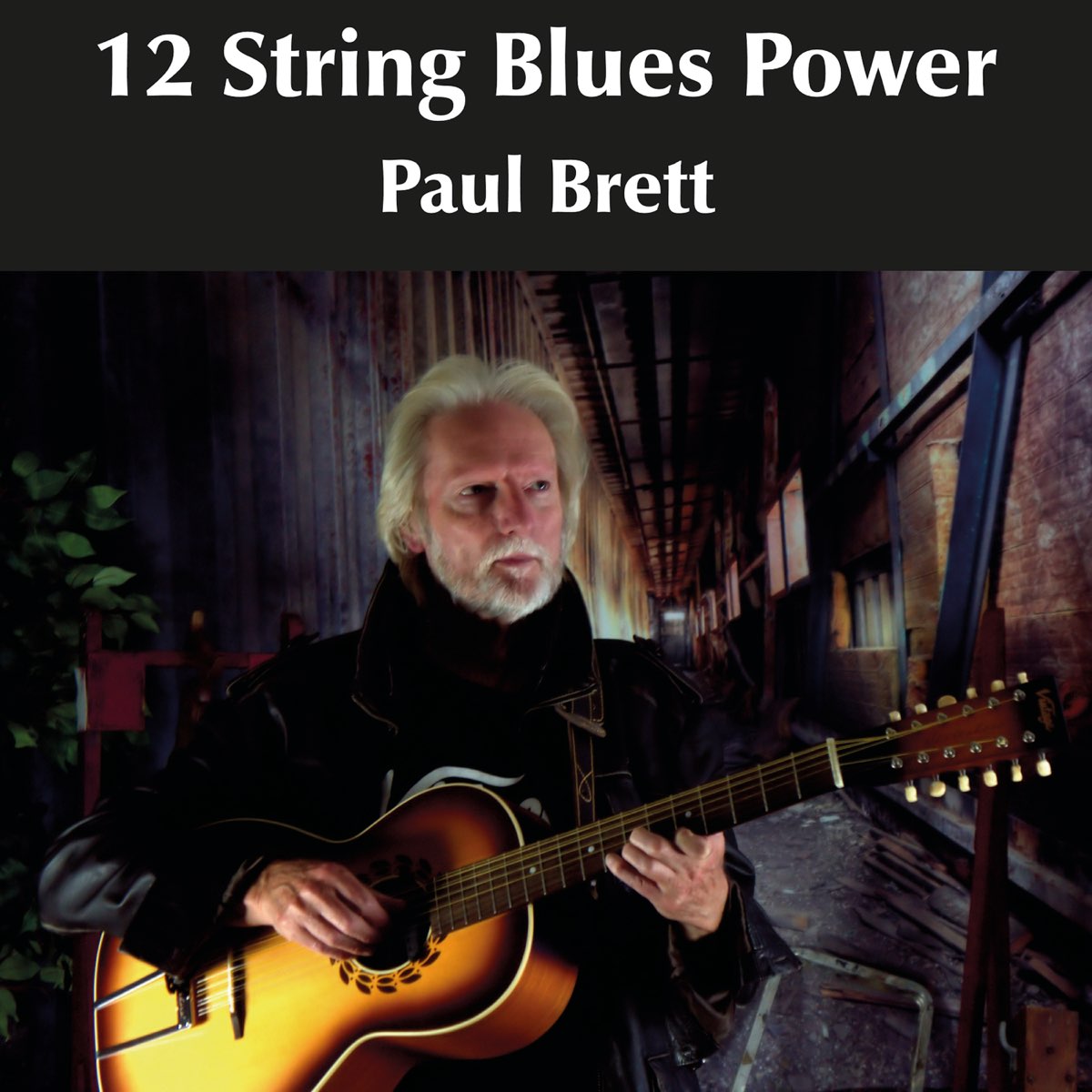 12 string blues