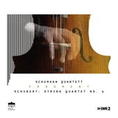 Schubert: String Quartet No. 6 (Fragment Pt. II) - EP artwork