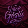 Noisy - Você Gosta
