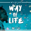 Way of Life - Single, 2019