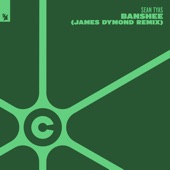 Banshee (James Dymond Remix) artwork