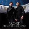 Strada Zilelor Senine - Single