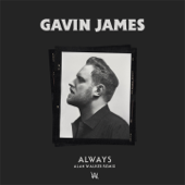 Always (Alan Walker Remix) - Gavin James & Alan Walker