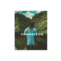 Tobi A - Chameleon artwork