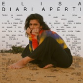 Diari aperti artwork