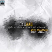 Tin Porta Anoigo To Vradi (feat. Mikis Theodorakis & Tasos Livaditis) artwork