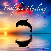 Dolphin Healing ~dolphin sounds and music~ artwork