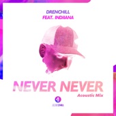 Never Never (feat. Indiiana) [Acoustic Mix] artwork