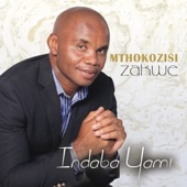 Indaba Yami (feat. Sipho Makhabane) artwork