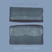 Kani + Remixes artwork