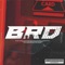 BRD (feat. Seven & Bkng) - Swisher lyrics