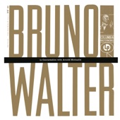 Bruno Walter in Conversation with Arnold Michaelis (Remastered) artwork