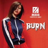 Burn artwork