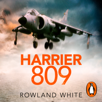 Rowland White - Harrier 809 artwork