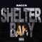 Shelter Baby - BACCII lyrics