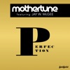 Perfection (feat. Jay W. McGee) - EP