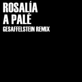 A Palé (Gesaffelstein Remix) artwork