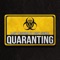 Quaranting (feat. Busy Signal) - Single