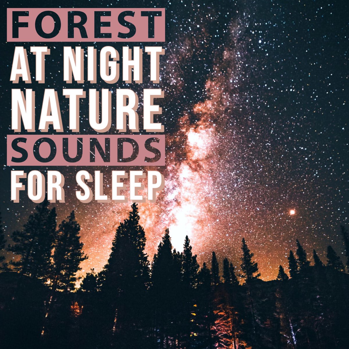 Elendig Vejhus bånd Forest at Night - Nature Sounds for Sleep by Natural Sound Makers, Nature  Recordings & Natural Sample Makers on Apple Music