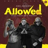 Allowed (feat. Medikal & Quamina MP) - Single