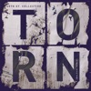 Torn (Dalbani Remix) - Single