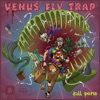 Venus Fly Trap - Single