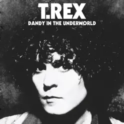 Dandy in the Underworld (Super Deluxe Edition) - T. Rex