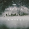 Usicheze Na Trouble - Single