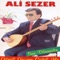 Gönül Gezme Cahil İle - Ali Sezer lyrics