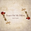 Tears on My Pillow - Single