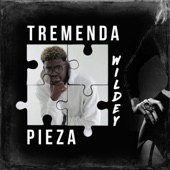 Tremenda Pieza artwork