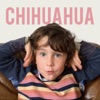 Chihuahua - Single