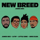 New Breed (feat. Q-Tip, Idris Elba & Little Simz) by James BKS