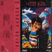 Flyest Alive artwork