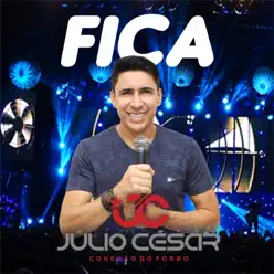 Fica - Single - Conexão do Forró
