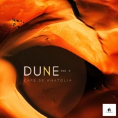 Cafe De Anatolia - Dune 2 artwork