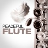 Peaceful Flute, 2019