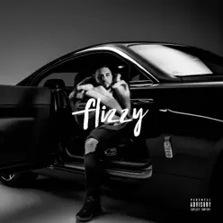 Flizzy (Premium Edition) - Fler