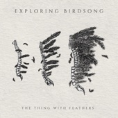 The Thing with Feathers - EP artwork